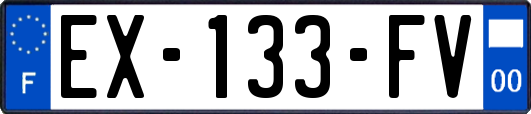 EX-133-FV