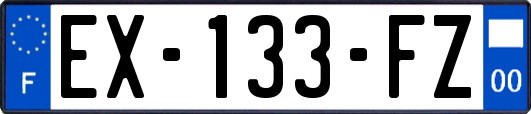 EX-133-FZ