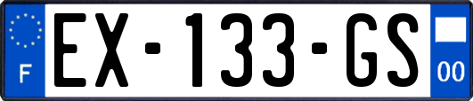 EX-133-GS