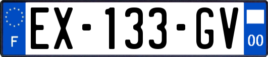 EX-133-GV