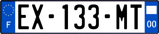 EX-133-MT