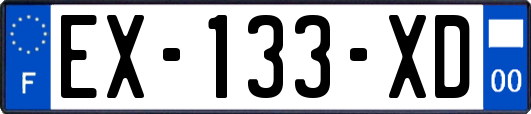 EX-133-XD