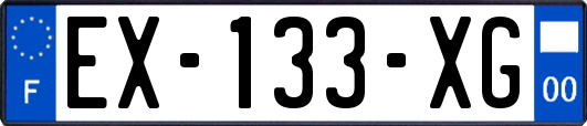 EX-133-XG