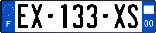 EX-133-XS