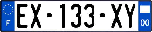 EX-133-XY
