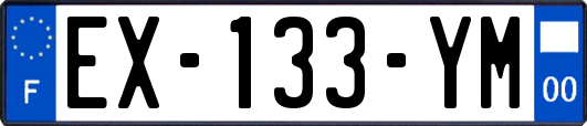 EX-133-YM