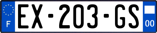 EX-203-GS
