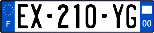 EX-210-YG