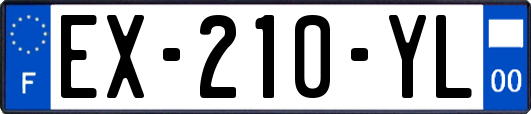 EX-210-YL