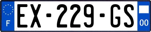 EX-229-GS