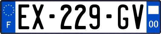 EX-229-GV