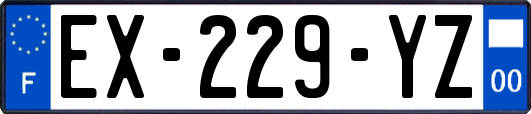 EX-229-YZ