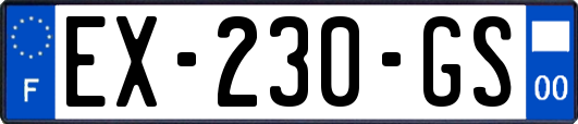 EX-230-GS