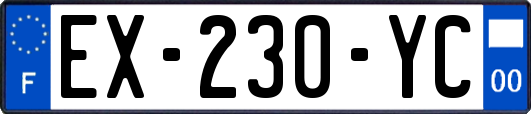EX-230-YC