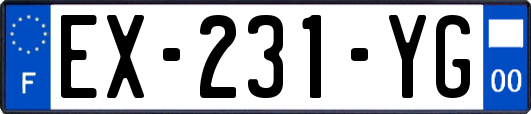 EX-231-YG