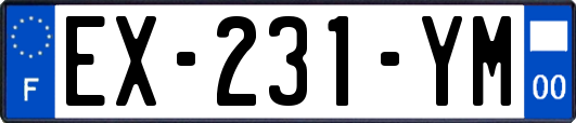 EX-231-YM