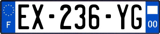 EX-236-YG