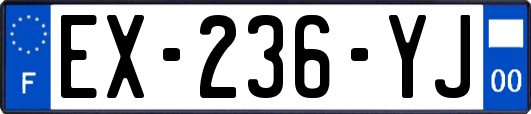 EX-236-YJ