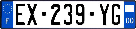 EX-239-YG