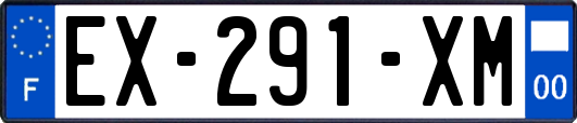 EX-291-XM
