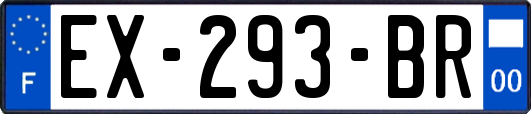 EX-293-BR