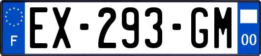 EX-293-GM