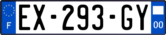 EX-293-GY