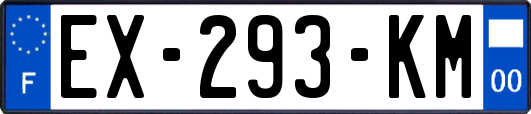 EX-293-KM