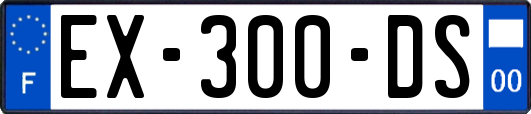 EX-300-DS