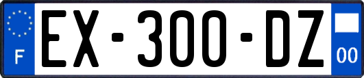 EX-300-DZ