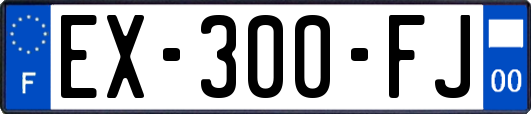 EX-300-FJ