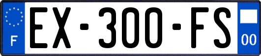 EX-300-FS