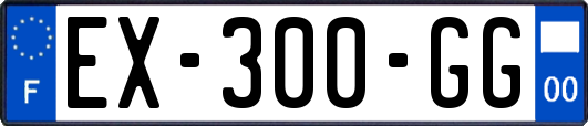 EX-300-GG
