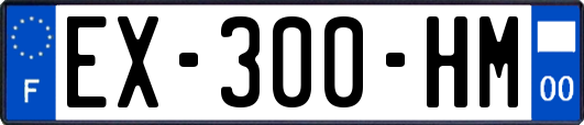 EX-300-HM