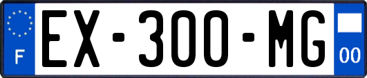 EX-300-MG