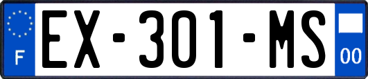 EX-301-MS