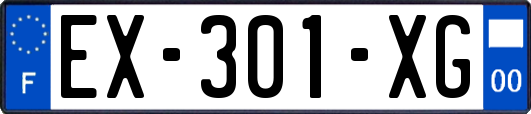 EX-301-XG