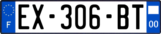 EX-306-BT