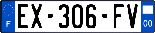 EX-306-FV