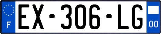 EX-306-LG