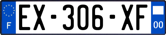 EX-306-XF