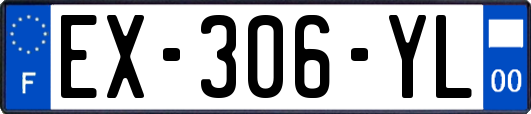 EX-306-YL