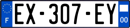 EX-307-EY