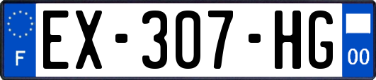 EX-307-HG