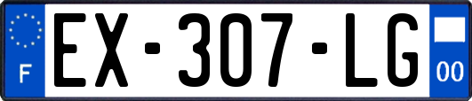 EX-307-LG