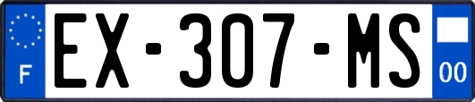 EX-307-MS