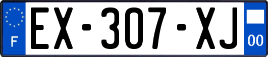 EX-307-XJ