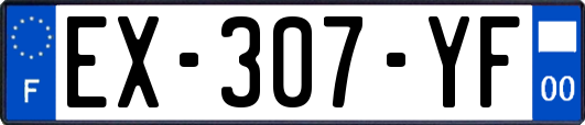EX-307-YF