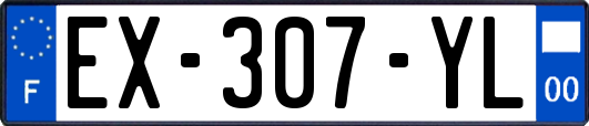 EX-307-YL