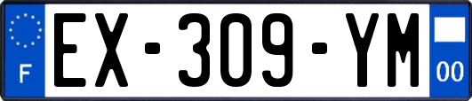 EX-309-YM